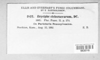 Image Associated With the Occurence
